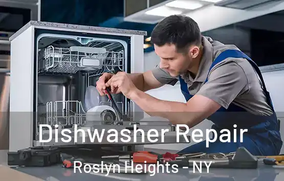  Dishwasher Repair Roslyn Heights - NY