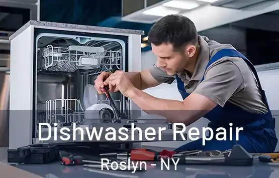  Dishwasher Repair Roslyn - NY
