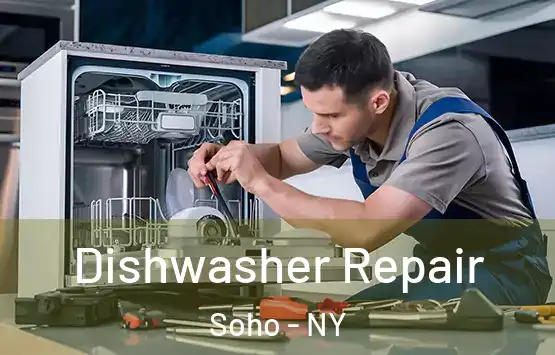 Dishwasher Repair Soho - NY