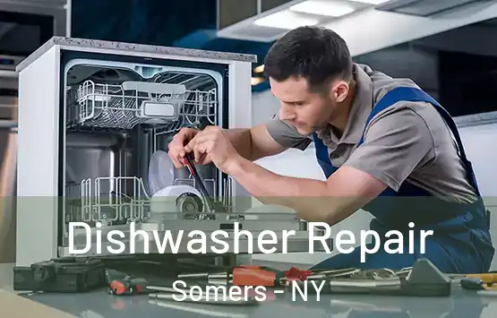  Dishwasher Repair Somers - NY