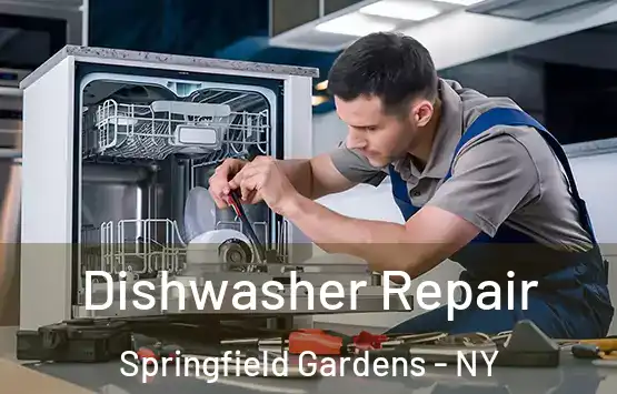  Dishwasher Repair Springfield Gardens - NY