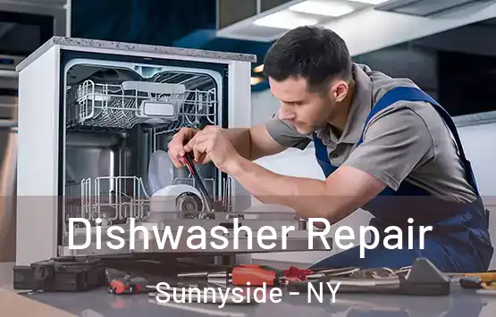  Dishwasher Repair Sunnyside - NY