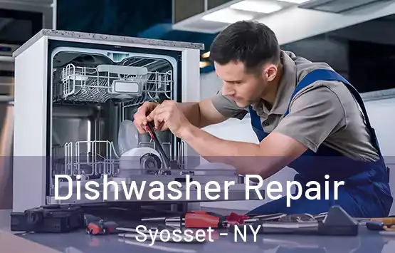  Dishwasher Repair Syosset - NY