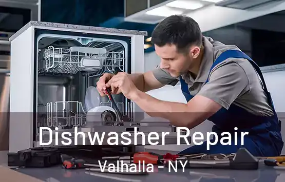  Dishwasher Repair Valhalla - NY
