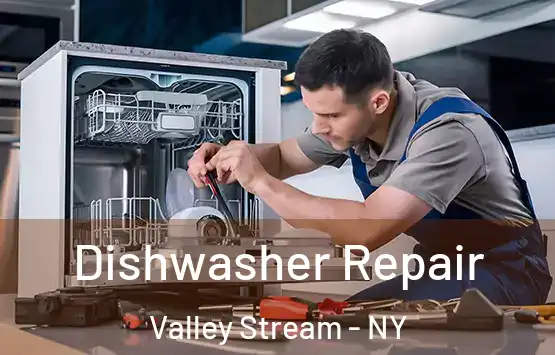  Dishwasher Repair Valley Stream - NY