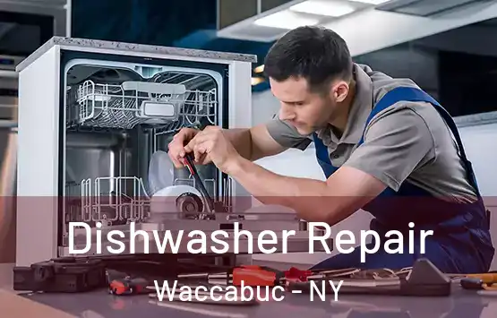 Dishwasher Repair Waccabuc - NY