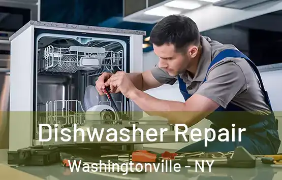  Dishwasher Repair Washingtonville - NY