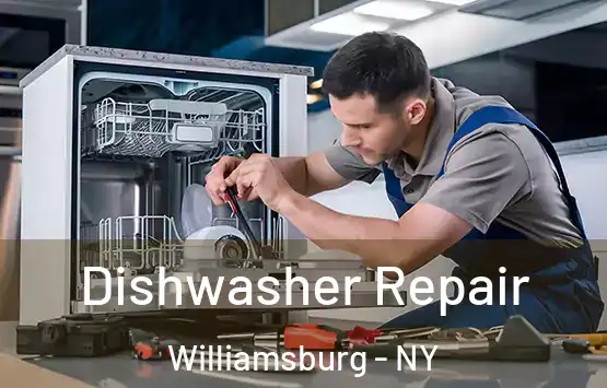  Dishwasher Repair Williamsburg - NY