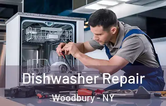  Dishwasher Repair Woodbury - NY
