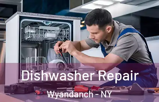  Dishwasher Repair Wyandanch - NY