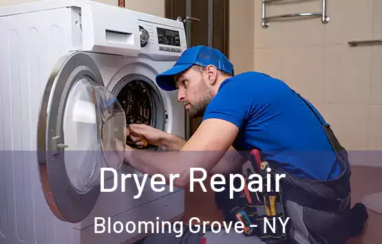  Dryer Repair Blooming Grove - NY