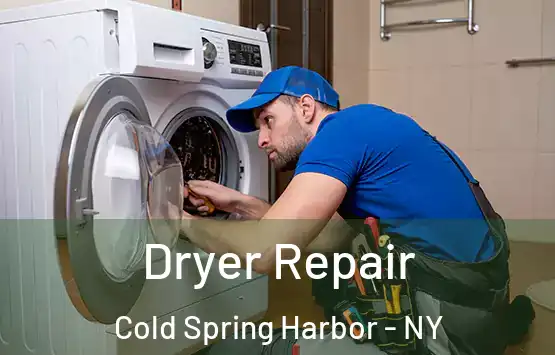  Dryer Repair Cold Spring Harbor - NY