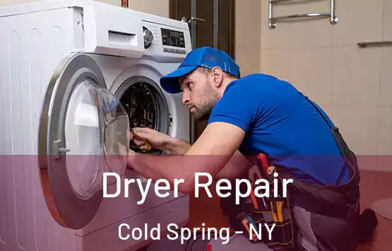  Dryer Repair Cold Spring - NY