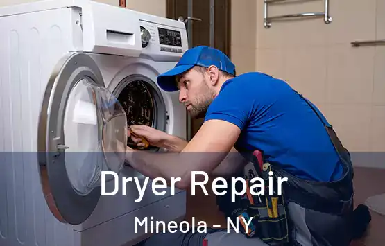  Dryer Repair Mineola - NY