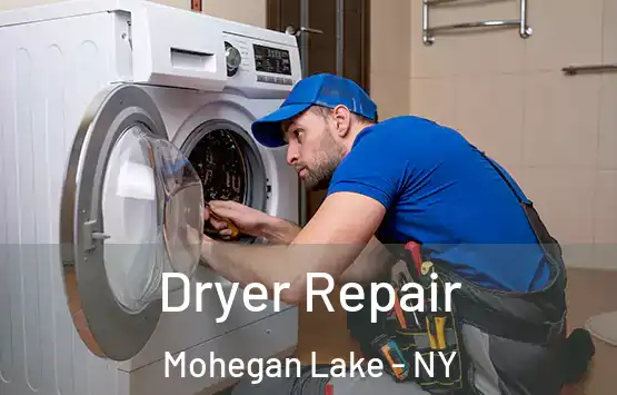  Dryer Repair Mohegan Lake - NY
