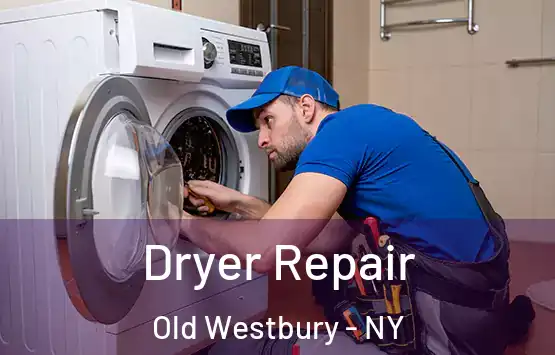  Dryer Repair Old Westbury - NY