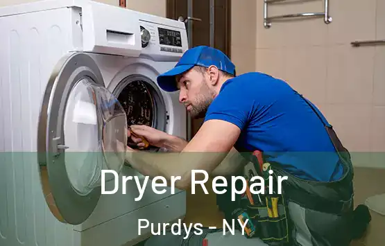  Dryer Repair Purdys - NY
