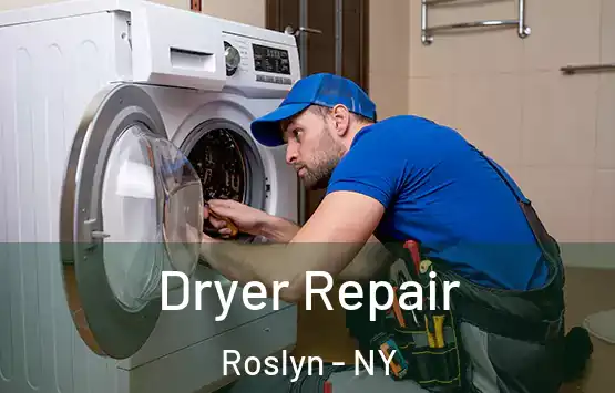  Dryer Repair Roslyn - NY