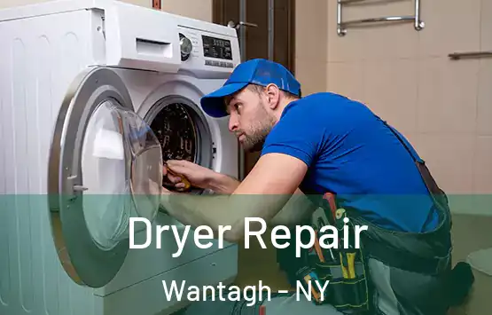  Dryer Repair Wantagh - NY