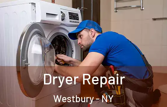  Dryer Repair Westbury - NY