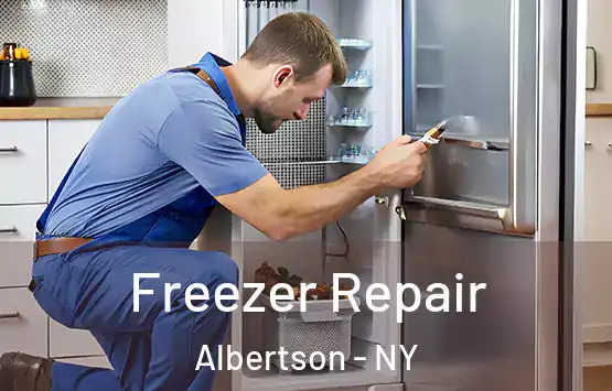  Freezer Repair Albertson - NY