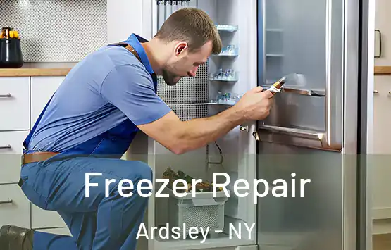  Freezer Repair Ardsley - NY