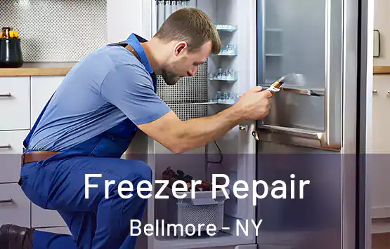  Freezer Repair Bellmore - NY