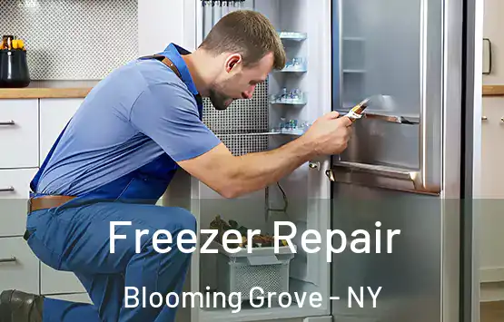  Freezer Repair Blooming Grove - NY