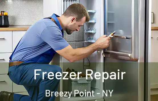  Freezer Repair Breezy Point - NY