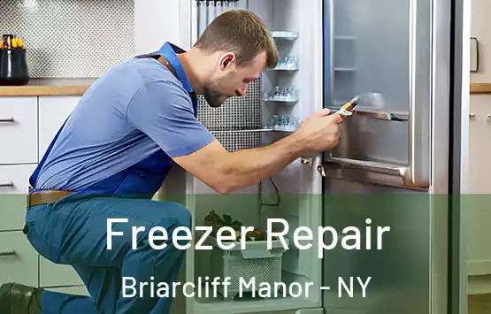  Freezer Repair Briarcliff Manor - NY