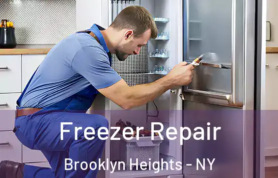  Freezer Repair Brooklyn Heights - NY
