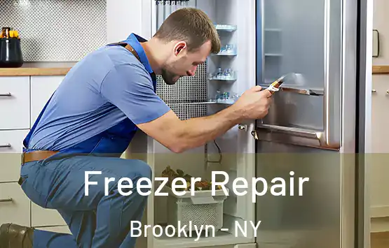  Freezer Repair Brooklyn - NY
