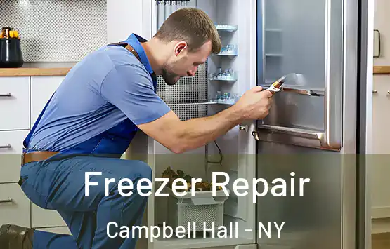  Freezer Repair Campbell Hall - NY