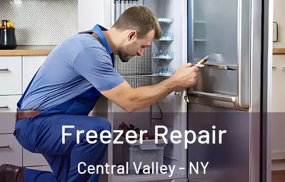  Freezer Repair Central Valley - NY