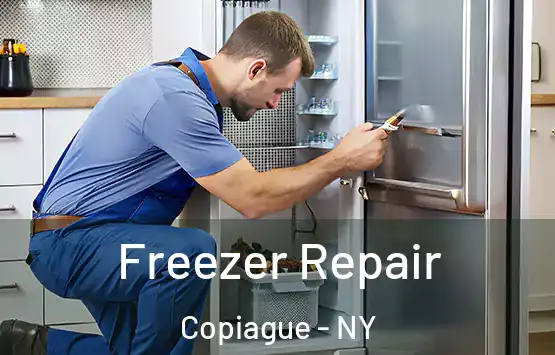  Freezer Repair Copiague - NY