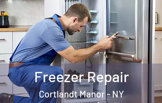  Freezer Repair Cortlandt Manor - NY
