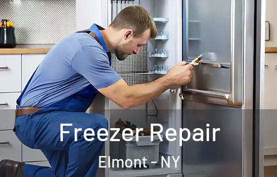  Freezer Repair Elmont - NY