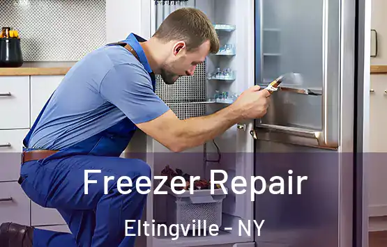  Freezer Repair Eltingville - NY