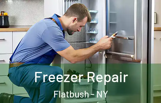  Freezer Repair Flatbush - NY