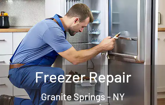  Freezer Repair Granite Springs - NY