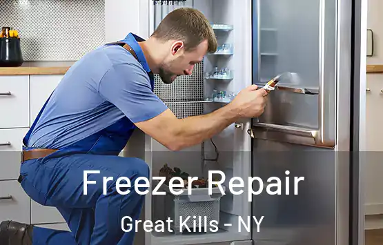  Freezer Repair Great Kills - NY