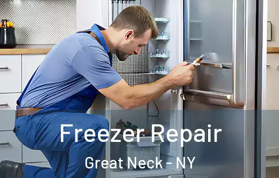  Freezer Repair Great Neck - NY