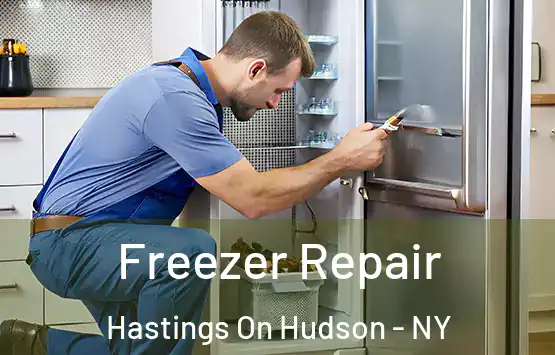  Freezer Repair Hastings On Hudson - NY