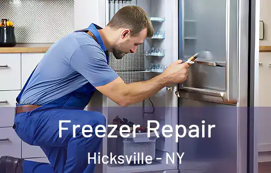  Freezer Repair Hicksville - NY
