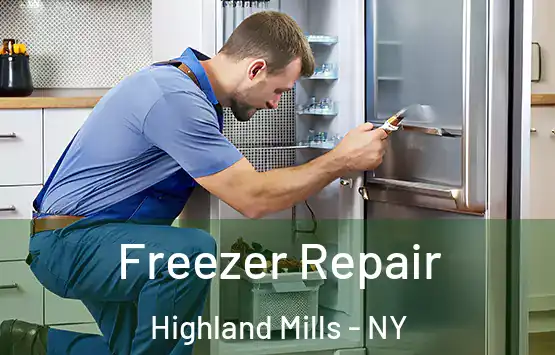  Freezer Repair Highland Mills - NY