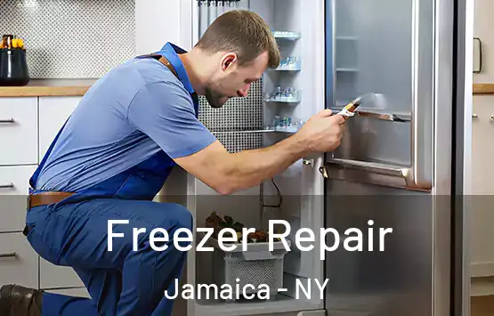  Freezer Repair Jamaica - NY