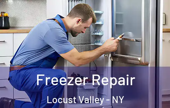  Freezer Repair Locust Valley - NY