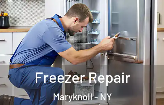  Freezer Repair Maryknoll - NY