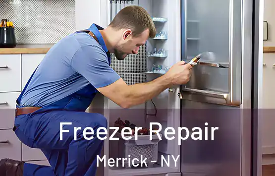  Freezer Repair Merrick - NY