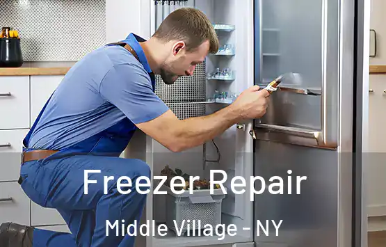  Freezer Repair Middle Village - NY